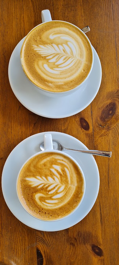 The Daily Roast coffee