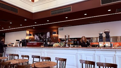 MOKKA SPECIALTY COFFEE S.A. coffee