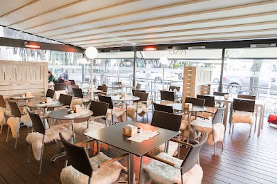 Café Pino in Madrid