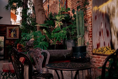 Noviciado CoffeeShop coffee