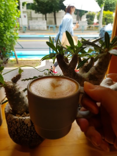 Murrma Coffee Stop coffee