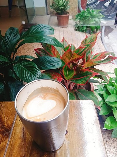 Dream Beans Coffee Roastery coffee