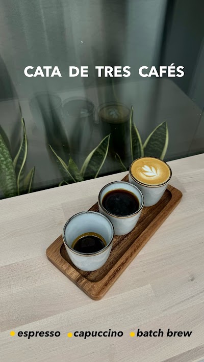 36 Specialty Coffee coffee
