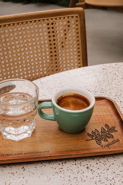 Tropicalia Coffee atmosphere