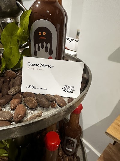 euki visionary coffee & cacao coffee