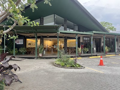 Calma • Matcha bar