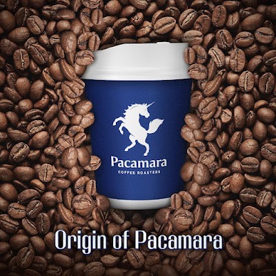 Pacamara Coffee Roaster Thonglor 25 coffee