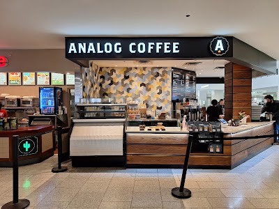 Analog Coffee Bow Valley Square atmosphere