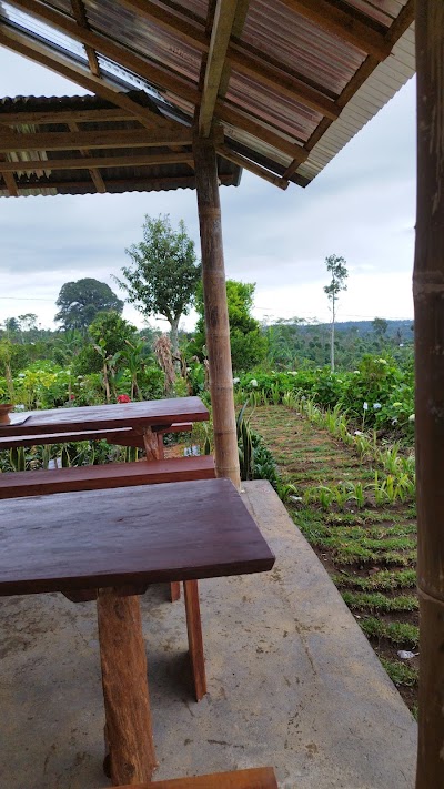 luwak coffee and tea ( BB LUWAK COFFEE)banyumala wanagiri