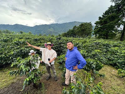 Medellín: Coffee Farm Tour in Barrio La Sierra coffee