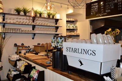 Starlings in Bristol BS8 1LW