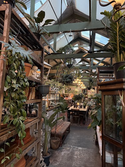Our Local Kloof Street coffee