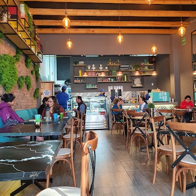 Interior of Maniatica Cafe in Santiago de Querétaro