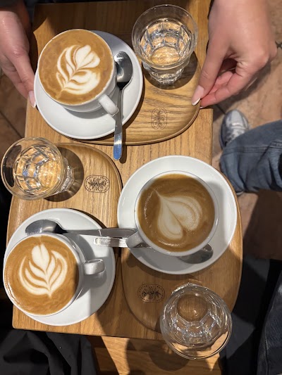 roca junior - artisan coffee atmosphere