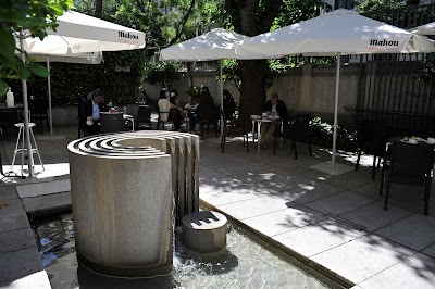 Goethe-Institut Madrid atmosphere