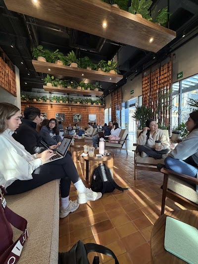 Kali Coffee House coffee