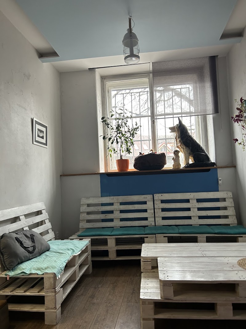Punta's Dog-themed Sweet-shop atmosphere