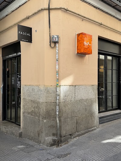 Pascal Specialty Coffee & Brunch