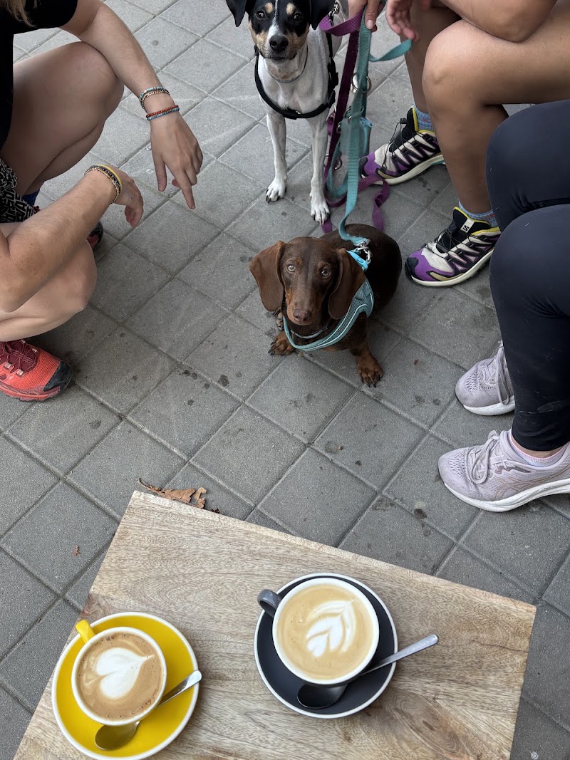 Dramático coffee