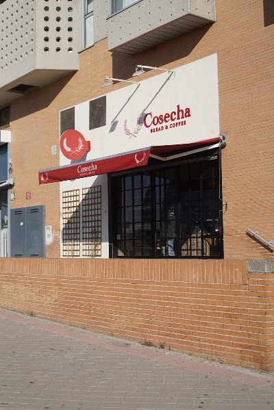 Cosecha Bread & Coffee in Madrid