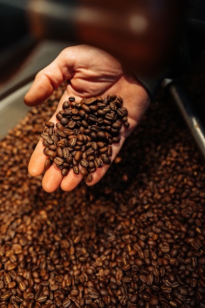 Nomadi Coffee Roasters atmosphere