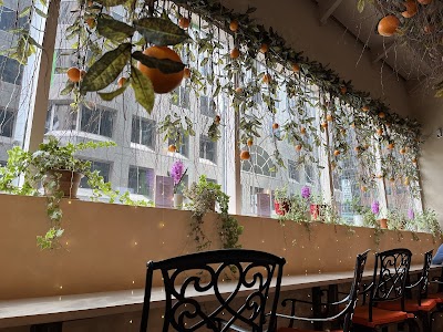 SoLIT Café atmosphere