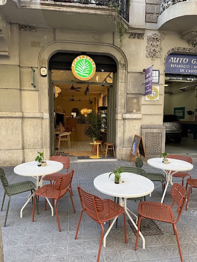PLANT SHACK Barcelona in Barcelona