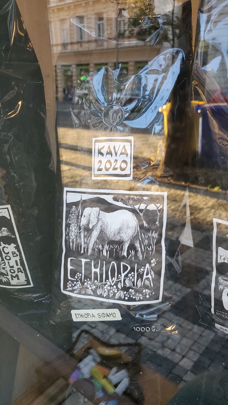 Kava 2020 Assas atmosphere