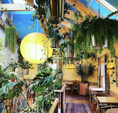 The Garden of Easton in Bristol BS5 6HY