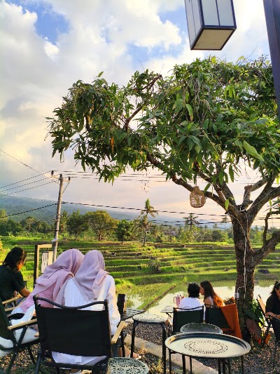 Aluna Coffee