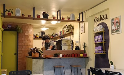 Patita Negra specialty coffee atmosphere
