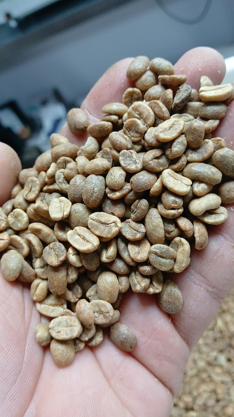 Duckbill Coffee Roasters atmosphere