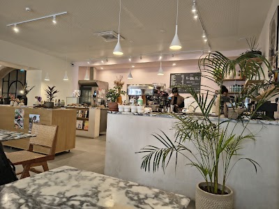 Hello Kristof Bica coffee