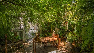 Littlegarden จิบกาแฟดูดวง atmosphere