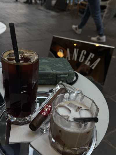 Pangea Roasting Co. coffee
