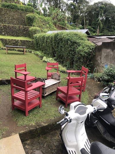 The Lost cafe