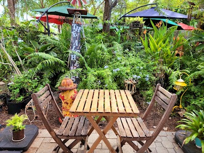 The Alchemist Café in Fort Lauderdale