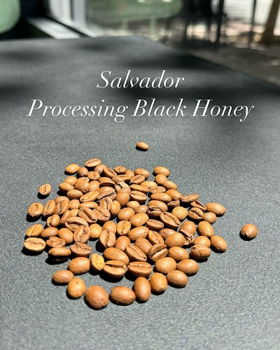 Nuevo Specialty Coffee coffee