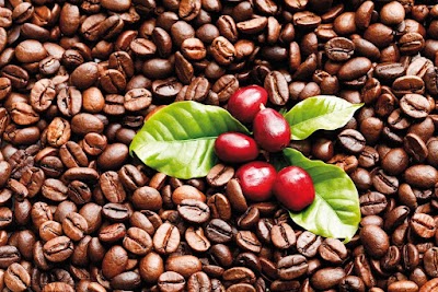 Capital Coffee Roasters GmbH atmosphere
