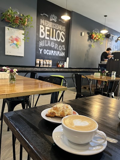 Catar Café de especialidad atmosphere