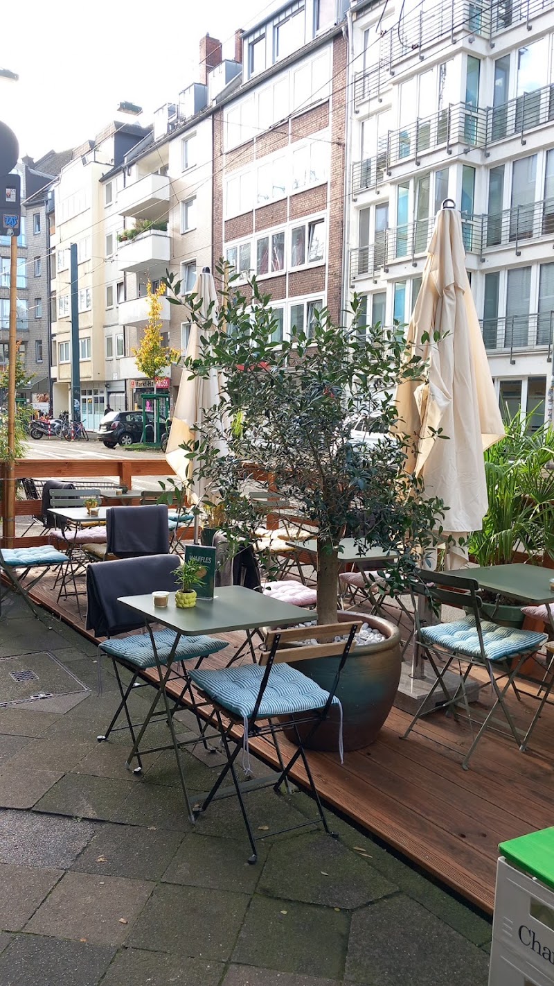 B12 Coffee in Düsseldorf