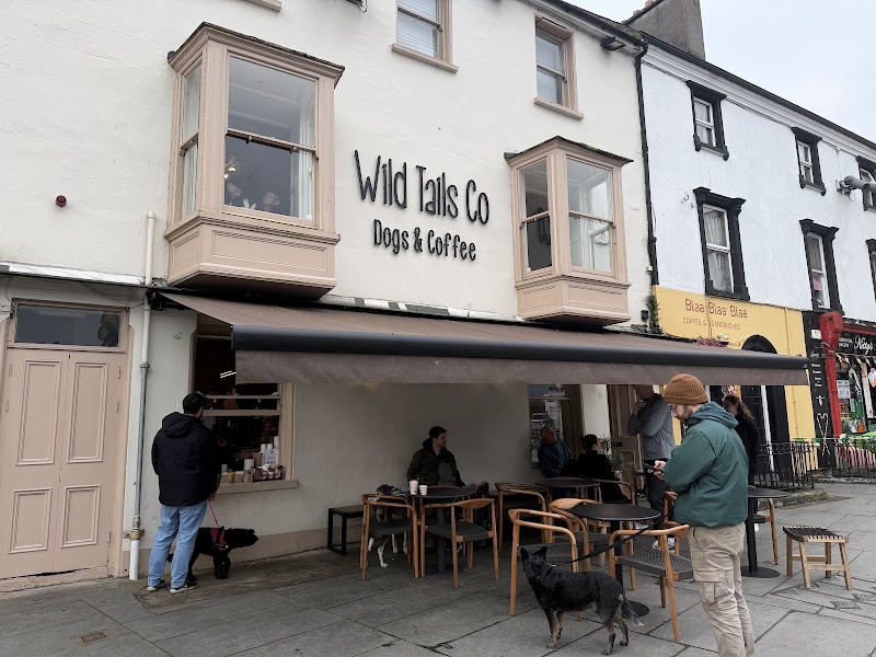 Wild Tails in Kilkenny