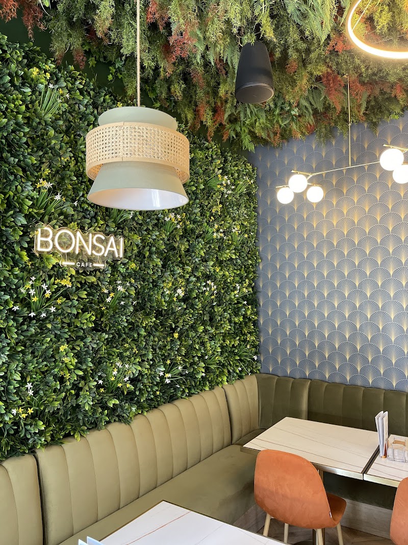 Bonsai Café in 2