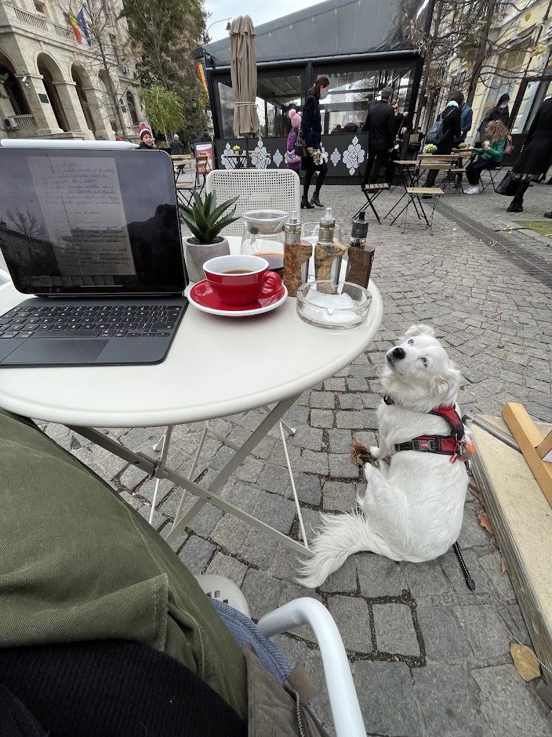 Navar Coffee in Bulevardul Ștefan cel Mare și Sfânt 18-20