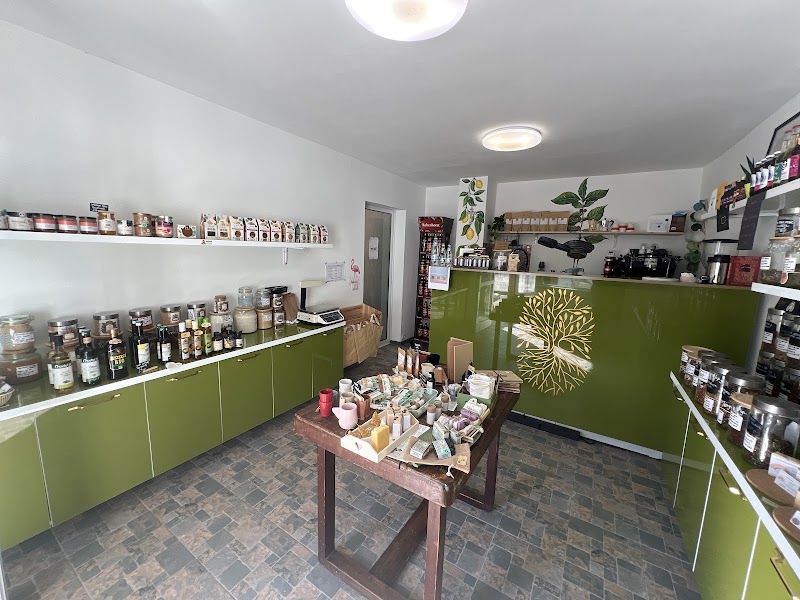 NOYA - Specialty Coffee Micro Roastery in Str. Profesor Gheorghe Longinescu 6