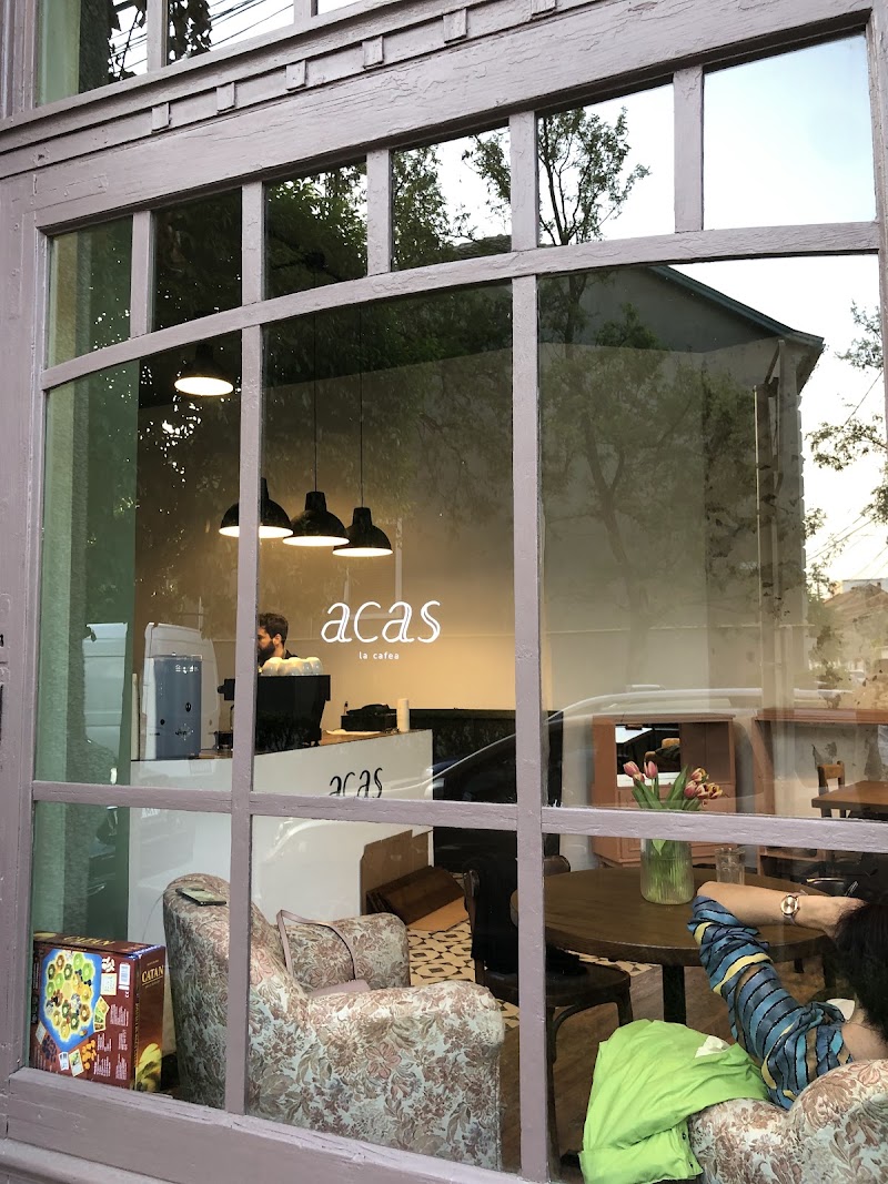 acas specialty coffee in Timişoara