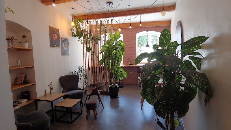 Bruno Coffee Bar in Trutnov