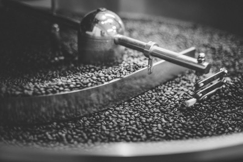 Rebelbean in Kulkova 4045/8