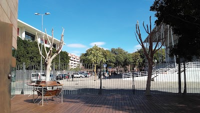 Cafeteria Archivo Regional de Murcia atmosphere