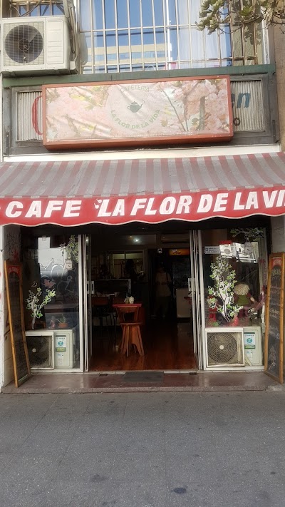 Café la flor de la vida atmosphere